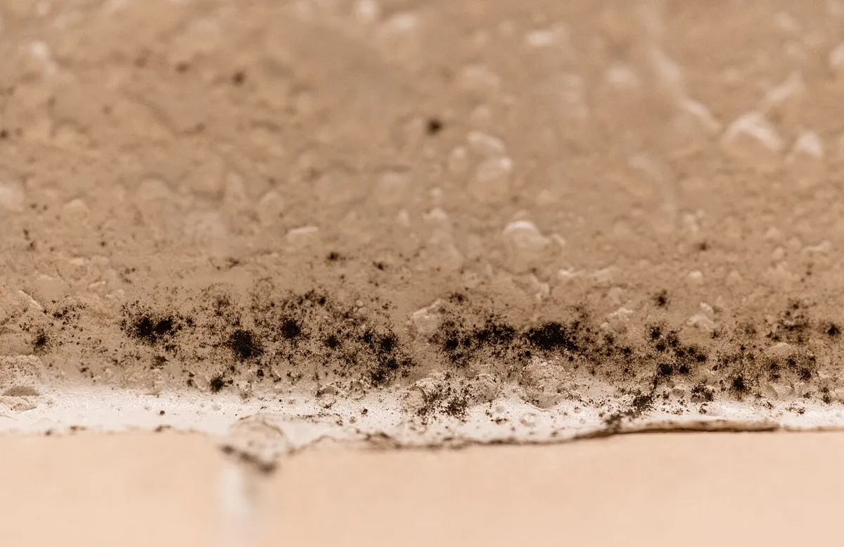Schwarzer Schimmel an der Wand über einer Duschwanne